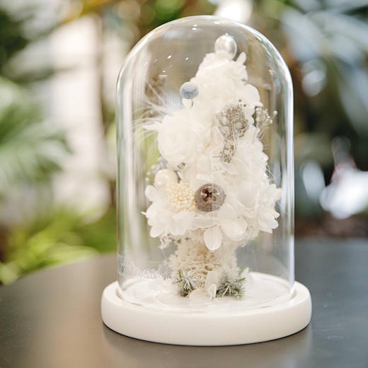 白色永生花圣诞树 商品图4