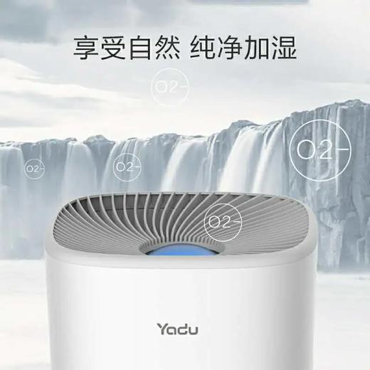 5F 博朗  亚都加湿器 商品图1