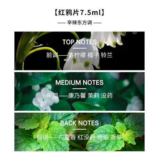 【专柜小样】法国 YSL圣罗兰 迷你4件套香水套盒7.5mlx4 反转巴黎 黑鸦片 巴黎恋人 红鸦片 商品图14