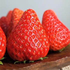 【丹东草莓】顺丰空运到家 娇艳欲滴 清甜脆嫩 黄金酸甜比 唇齿留香 果型饱满 4种规格任选