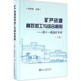 矿产资源高效加工与综合利用:第十一届选矿年评(上册)