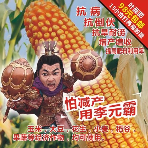 1小瓶·李元霸叶面肥（200克） 商品图1