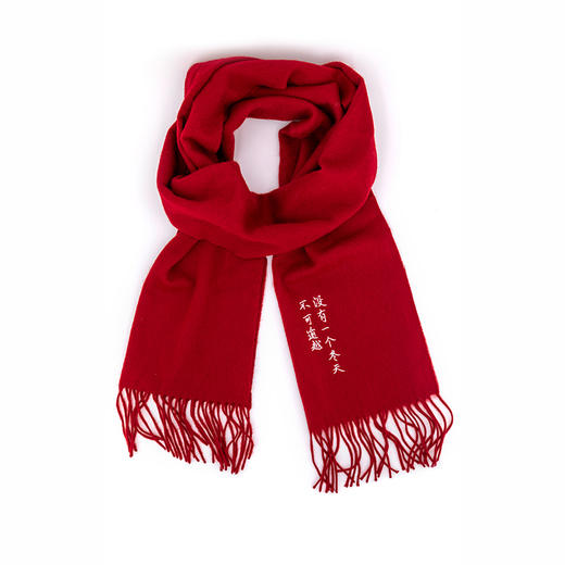南周文创-“没有一个冬天不可逾越”围巾 徐静蕾手写款 （男女可戴） 商品图6