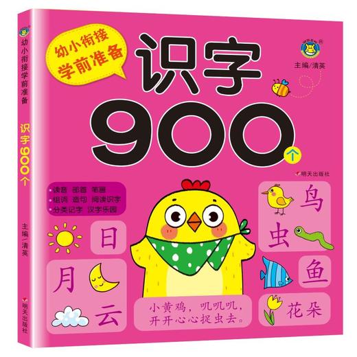 幼小衔接学前准备 识字900个 商品图0