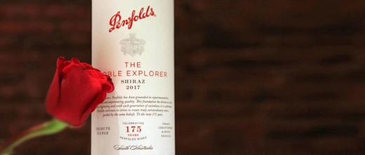 奔富175周年礼赞系列设拉子红葡萄酒750ML 商品图3