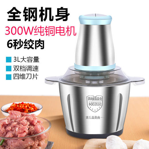 两张守护卡+不锈钢杯身 家用电动 绞肉机 小型打肉馅蒜蓉搅拌 搅碎菜 多功能料理机-CG 商品图1