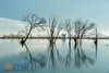 2月24日确定出发【行摄滇西北】探秘香格里拉、摄光影梅里雪山、纳帕海黑颈鹤6天 商品缩略图10