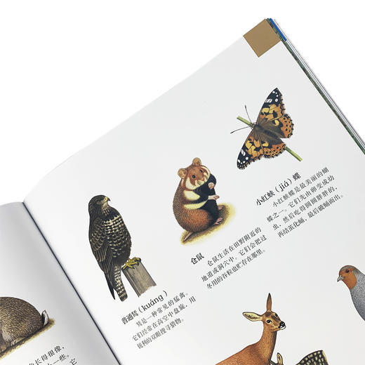 美丽栖息 商品图3