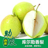 新疆库尔勒香梨5斤/8斤 商品缩略图0