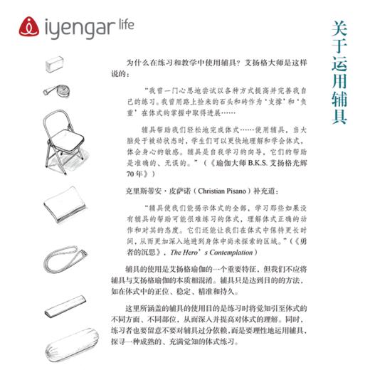 艾扬格 Life  辅具瑜伽习练指南Ⅰ【现货】 商品图2