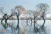 2月24日确定出发【行摄滇西北】探秘香格里拉、摄光影梅里雪山、纳帕海黑颈鹤6天 商品缩略图14