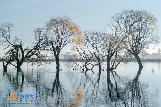 2月24日确定出发【行摄滇西北】探秘香格里拉、摄光影梅里雪山、纳帕海黑颈鹤6天 商品图14