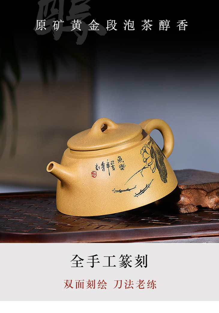 鱼罩紫砂壶——陈春燕