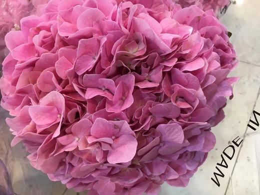 配花-绣球-深粉-1支 商品图0