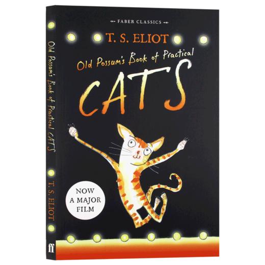 老负鼠的猫经 英文原版 Old Possum's Book of Practical Cats 擅长装扮的老猫经 艾略特 俏皮诗集 百老汇音乐剧猫的原著 英文版书 商品图3