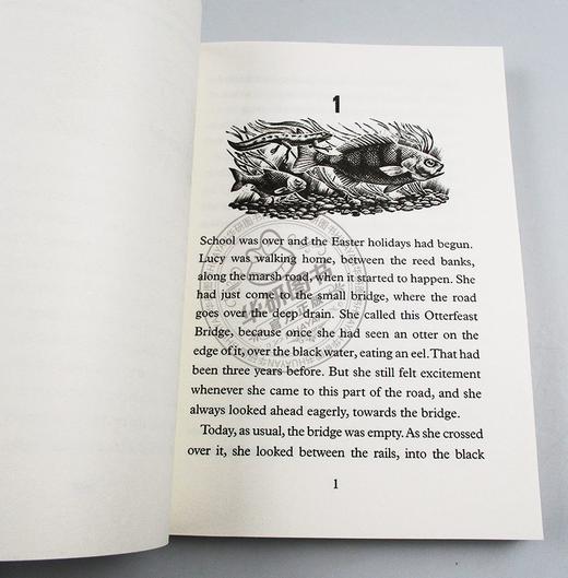 铁巨人和他的朋友 英文原版 The Iron Woman 铁娘子 钢铁巨人续作 儿童文学成长小说读物故事书 Ted Hughes 特德休斯 英文版 商品图2