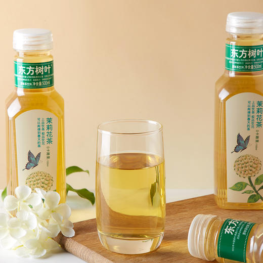 东方树叶茉莉花茶500ml 商品图2