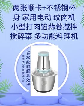 两张守护卡+不锈钢杯身 家用电动 绞肉机 小型打肉馅蒜蓉搅拌 搅碎菜 多功能料理机-CG