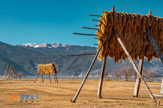 2月24日确定出发【行摄滇西北】探秘香格里拉、摄光影梅里雪山、纳帕海黑颈鹤6天 商品图9