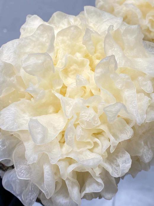 周日取货：【鲜银耳】淡淡清香，叶片肥厚，软糯爽口，汤汁稠密！ 商品图2