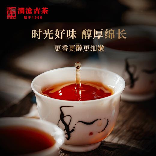 澜沧古茶2019年八壹金瓜普洱茶熟茶云南茶叶古树老树贡茶0081系列 商品图4