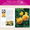 紫图生活美学系列：大卫·奥斯汀 迷人的英国玫瑰 商品缩略图7