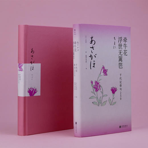 牵牛花浮世无篱笆 千代尼俳句250 与松尾芭蕉并驾齐驱俳句女诗人 首部中译版俳句精选集 千代尼著 小通书屋