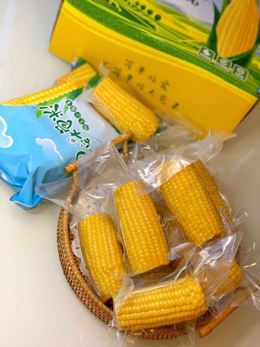 早安大苞米 黄金香糯玉米 软糯香甜 老少皆宜 每箱10穗 商品图2