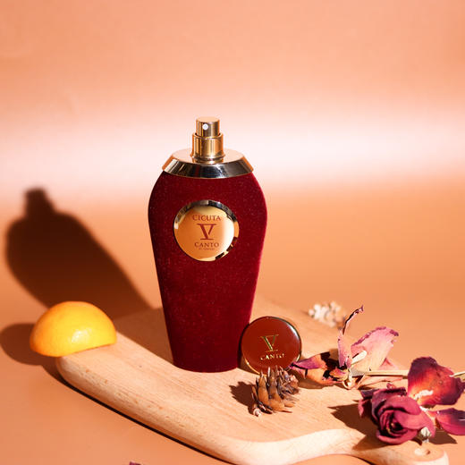 V坎朵 奇库塔 V Canto Cicuta  分装 商品图1