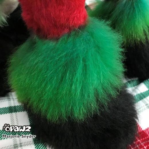 宠物持久染色剂：森林绿色Forest Green OPAWZ小爪印 商品图3