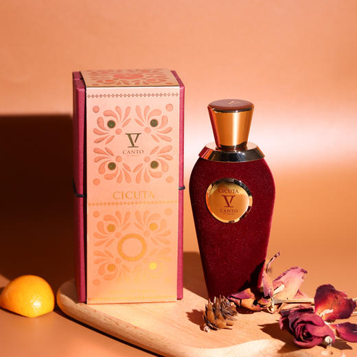 V坎朵 奇库塔 V Canto Cicuta  分装 商品图3