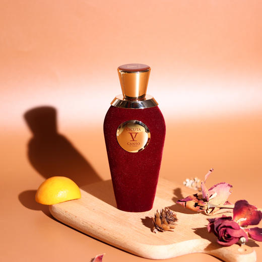 V坎朵 奇库塔 V Canto Cicuta  分装 商品图0