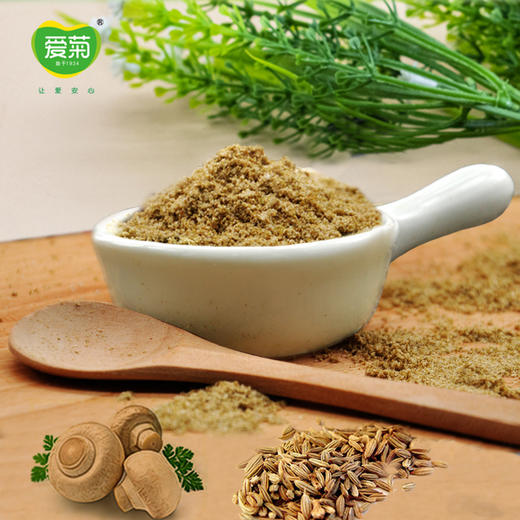 爱菊孜然粉30g 商品图4