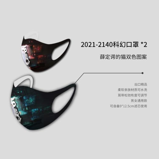 【公式之美】“薛定谔的猫” 原创设计口罩  个性十足 回头率够高 商品图3