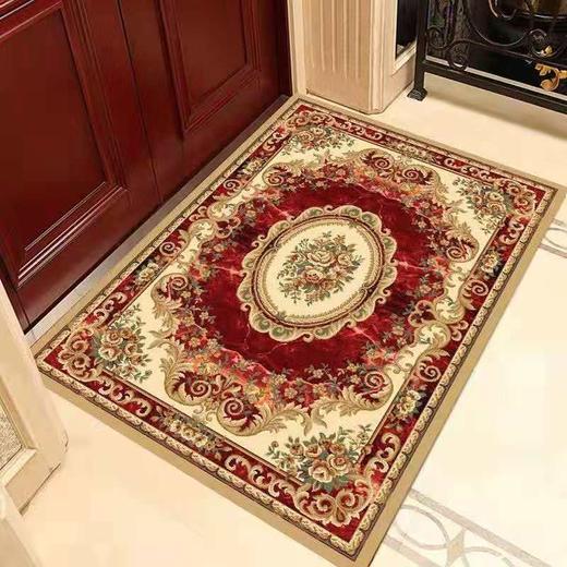 PDD-SX191130新款家用客厅门厅卧室卫生间厨房吸水防滑垫 商品图1