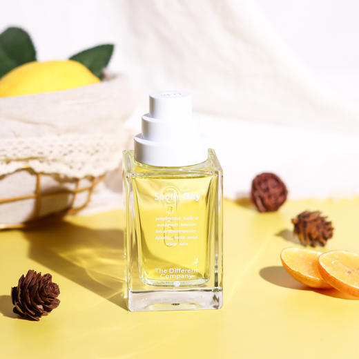 别样公司 南湾 The Different Company South Bay   分装 商品图2