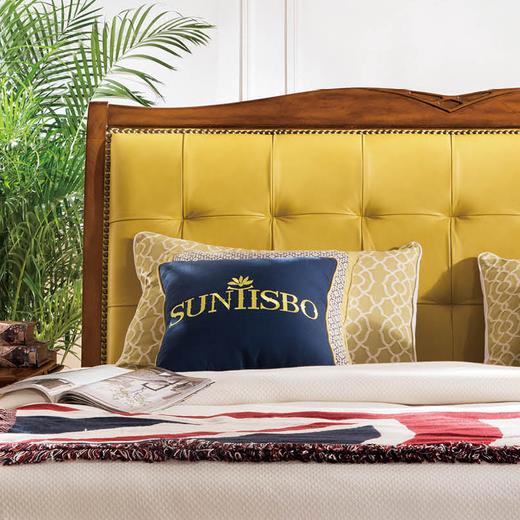 圣蒂斯堡美舍c103皮床1820