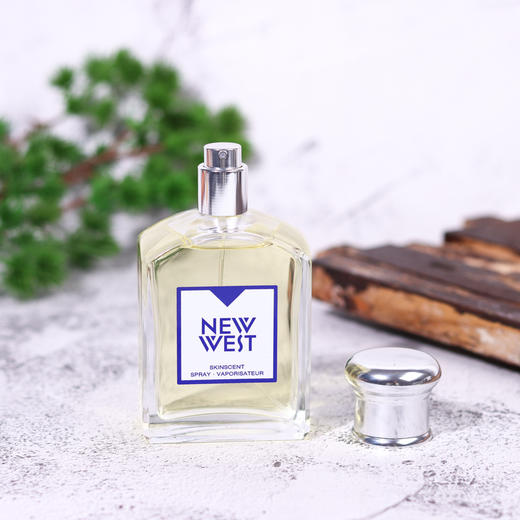 雅男仕 新西部男士香水 Aramis New West for Him 分装 商品图1