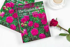 紫图生活美学系列：大卫·奥斯汀 迷人的英国玫瑰
