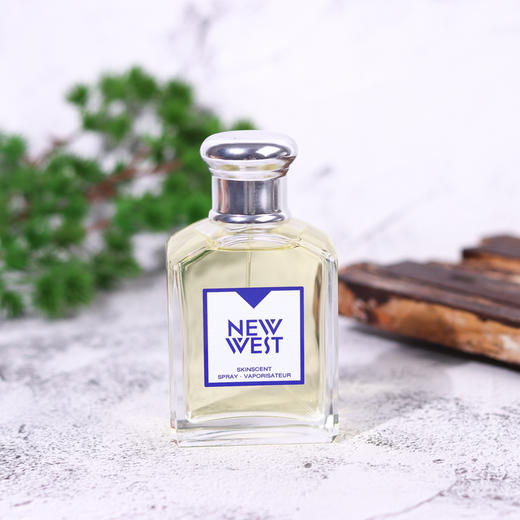 雅男仕 新西部男士香水 Aramis New West for Him 分装 商品图0