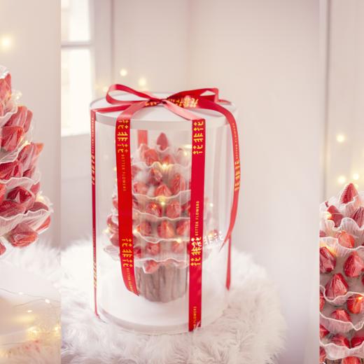 《草莓树》-草莓花盒 商品图1