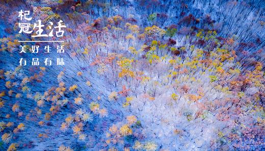 杞冠生活幸福卡 商品图0