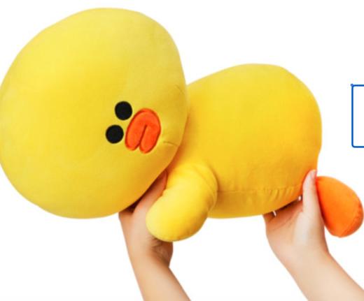 韩国 可爱LINE朋友Sally柔软的枕形靠垫（50cm）JPY带授权招加盟代理 商品图1