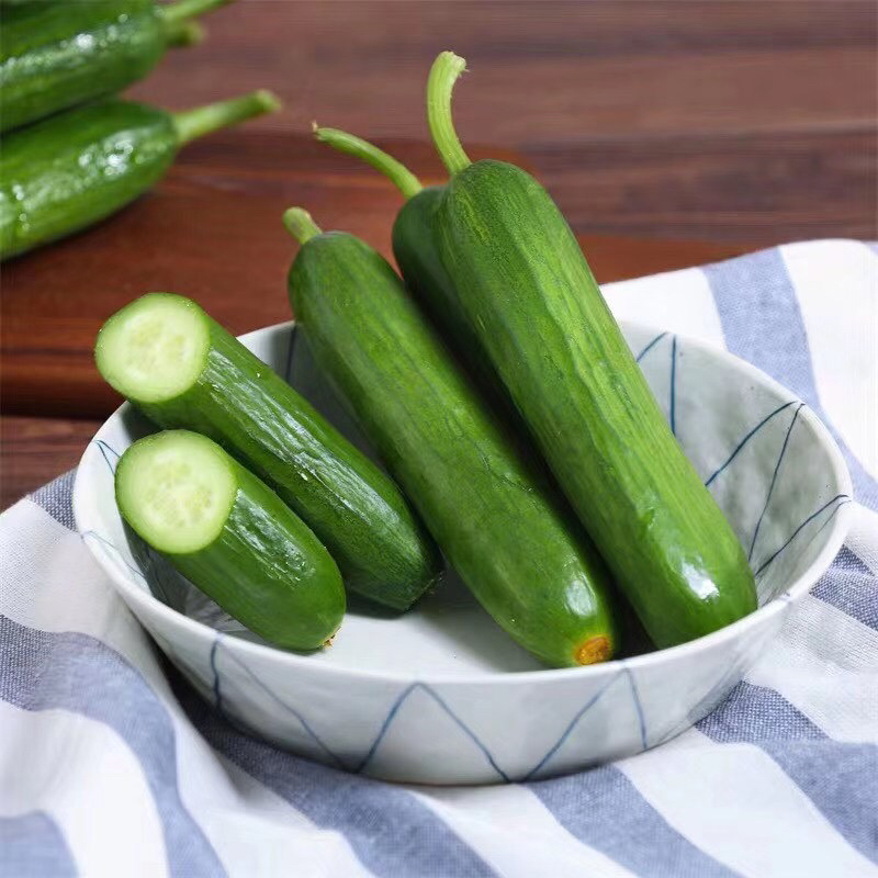 小黄瓜非转基因的水果小黄瓜脆甜爽口轻食代餐佳品减肥瘦身补维c