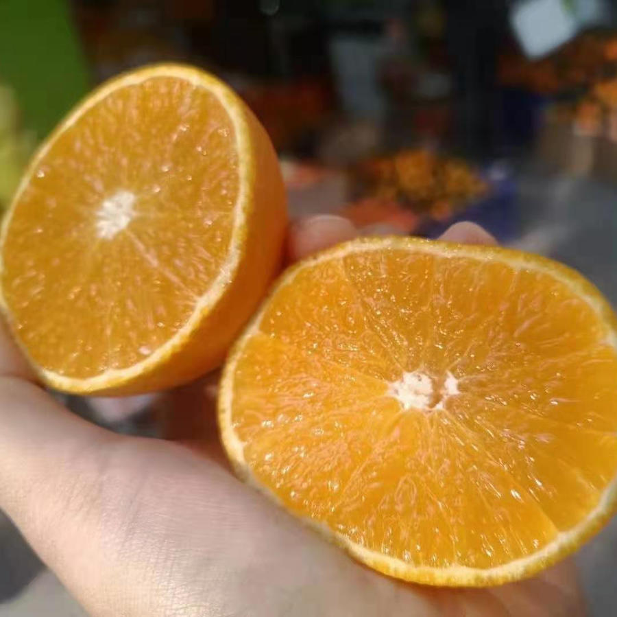 春见和红美人哪个好吃(春见好吃吗)