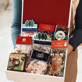 圣诞常温零食礼盒 拆盲盒般的快乐！