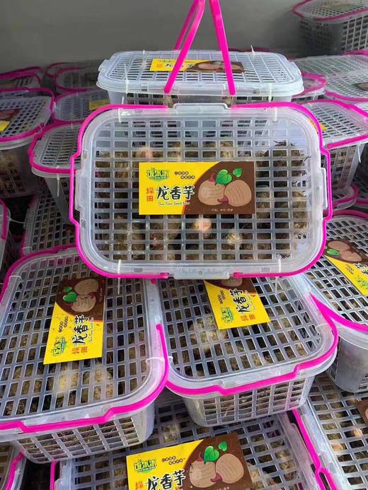周五取货：【龙香芋】一篮毛重3.5斤左右，营养丰富！香滑软糯，出芽是正常哦。 商品图4