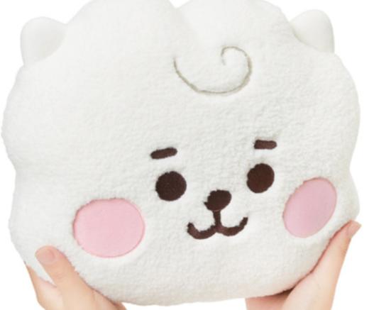 韩国 可爱Line Friends BT21 RJ BABY小册子坐垫JPY带授权招加盟代理 商品图1