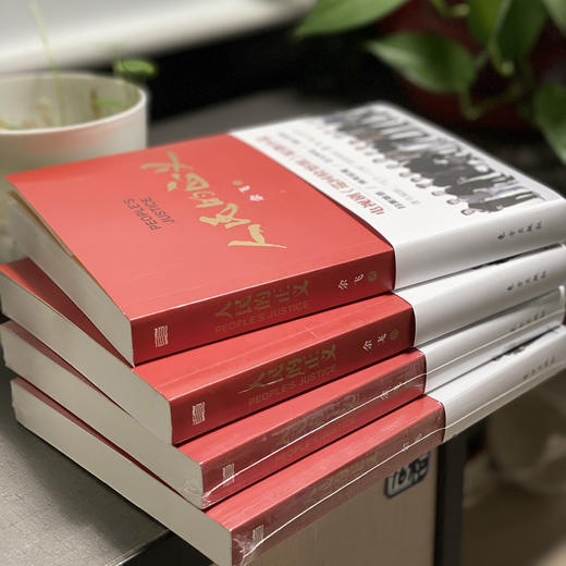 《人民的正义》电视剧《巡回检察组》原著小说 商品图3