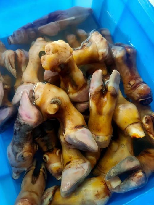 洗干净的羊蹄 1斤5一6个 商品图0